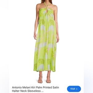 Antonio Melani Lime Tropical Print Maxi Dress